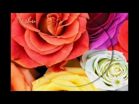 Видео: гр.Тэпин (Рустам Арбуду) - о Маме... (Дунганская песня)