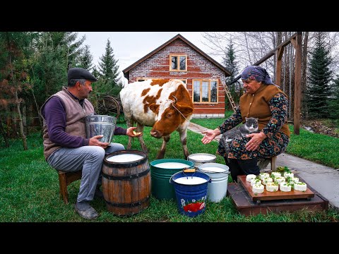 Видео: Белый Кавказский Сыр| От Свежего Молока до Вкуснейшего Сыра