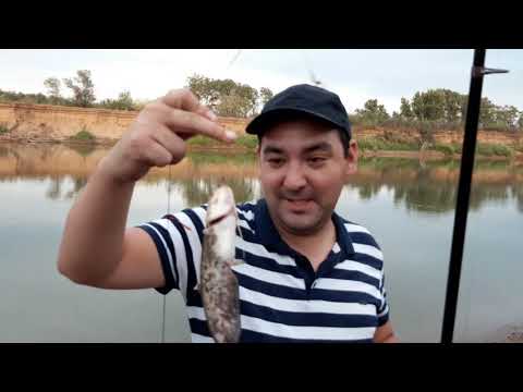 Видео: Рыбалка в Уральске, трехдневный тур по водоемам ЗКО.