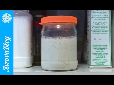 Видео: Пшеничная закваска. Выведение закваски на пшеничной муке в/сорта, либо цельнозерновой, либо 1 сорта