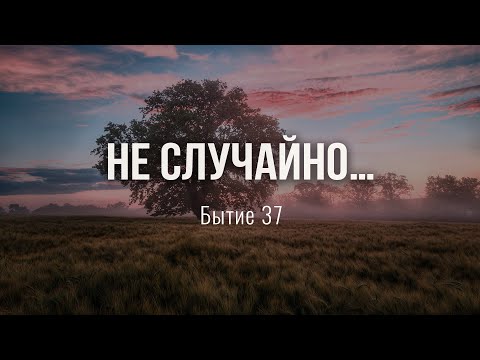 Видео: Не случайно… (Андрей Резуненко)