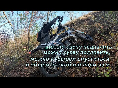 Видео: осенняя катка с друзьями и красивыми видами осенней природы