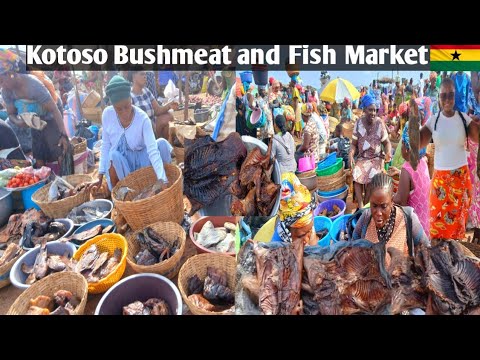 Видео: Сельский рынок в африканской деревне в Африке, Гана, мясо диких животных Котосо #сельскаяжизнь #а...