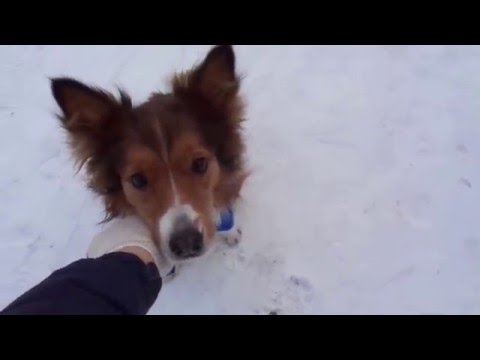 Видео: Гуляем