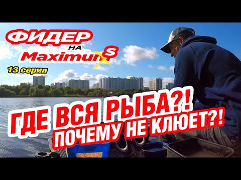 Видео: Фидер на Максимум! Серия 13. Где вся рыба? Почему не клюет?