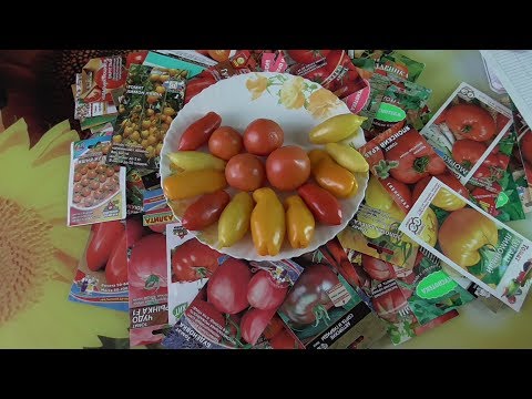 Видео: КАКИЕ СОРТА ТОМАТОВ СОХРАНЯТСЯ ОЧЕНЬ ДОЛГО? Ольга Чернова.