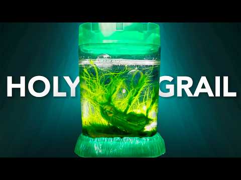 Видео: СВЯТОЙ ГРААЛЬ: Танк «Морская обезьяна»! | Распаковка и обзор пиратских сокровищ