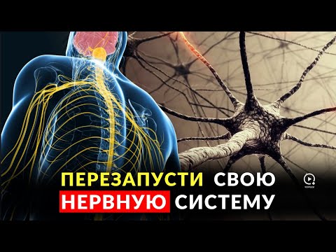 Видео: Почему Тревога Блокирует Мечты? | Ты Не Можешь Притянуть Новое, Пока Тело Живёт В Страхе