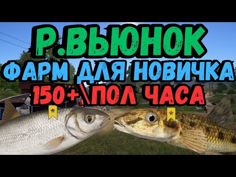 Видео: ФАРМ СЕРЕБРА ДЛЯ НОВИЧКА В РР4 ● Р. Вьюнок / Русская Рыбалка 4 | РР4