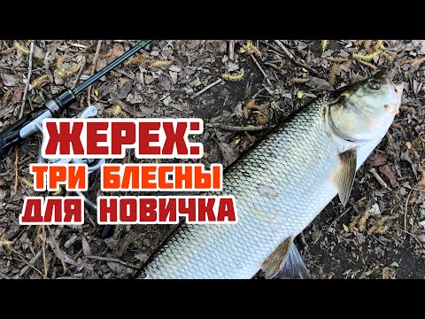 Видео: ЖЕРЕХ - ТРИ БЛЕСНЫ ДЛЯ НОВИЧКА