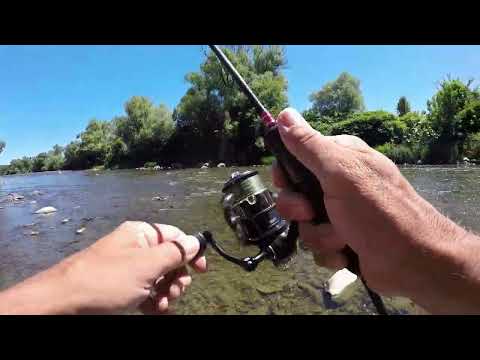 Видео: ПОЛЮВАННЯ НА ГОЛОВНЯ (01.07.2025)