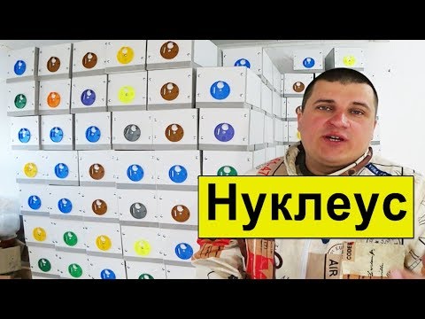 Видео: Нуклеус Из Сендвич Панелей ✅ Изготовление 🐝