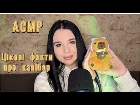 Видео: 🌿АСМР ЦІКАВІ ФАКТИ ПРО КАПІБАР 🌿