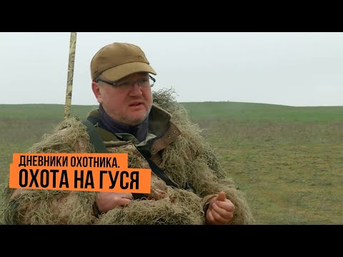 Видео: Охота на гуся \ Дневники охотника