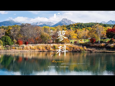 Видео: Татэсина в полном осеннем расцвете. Потрясающие краски японской осени