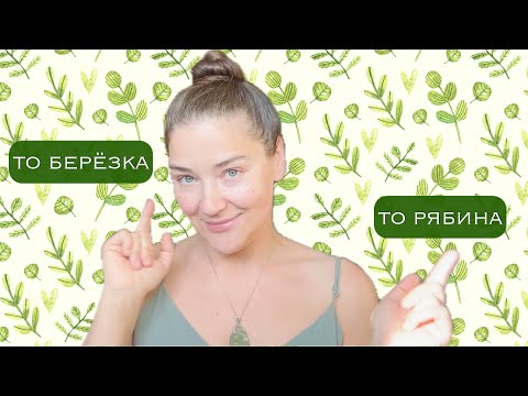 Видео: кленовый прутик, тополиная почка, пять ароматов