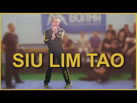 Видео: Сиу Лим Тао в деталях для изучающих Вин Чун | Siu Lim Tao