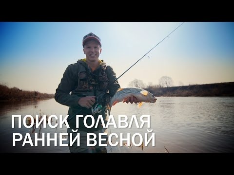 Видео: Весной на малой реке. Поиск активного голавля.