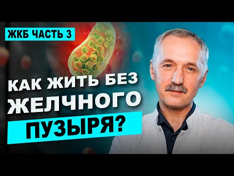 Видео: Удалили желчный пузырь? Не упустите время для восстановления! / Доктор Виктор