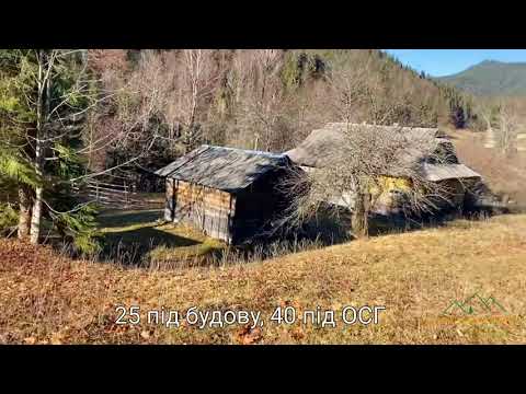 Видео: Продаж затишної ділянки в Карпатах біля річки. с. Шибене. 85 соток, 75000$