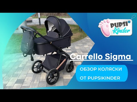 Видео: Carrello Sigma. Обзор детской коляски от Pupsikinder