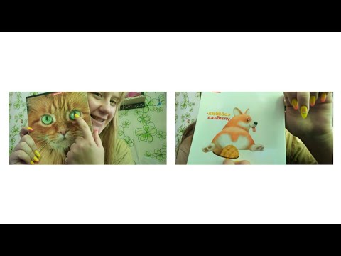 Видео: БЭК ТУ КОЛЛЕДЖ! 📦 мои покупки к колледжу 👛