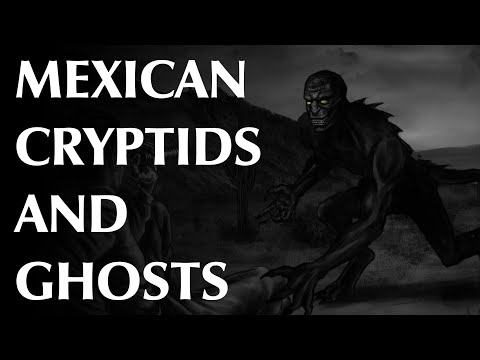 Видео: К югу от границы