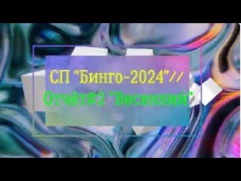 Видео: ​ СП "Бинго-2024"//Отчёт#2
