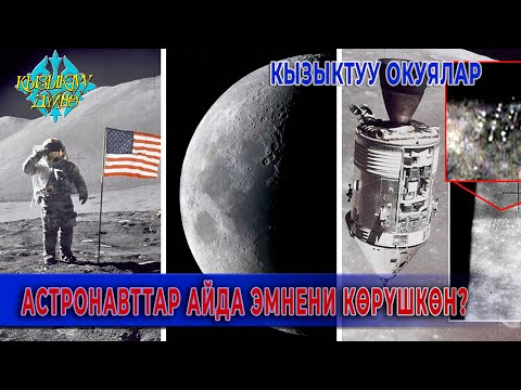 Видео: АЙГА АДАМДАР ЭМНЕГЕ УЧУШПАЙ КАЛЫШКАН?