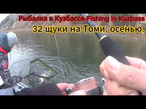 Видео: Лучшая рыбалка на Томи в этом сезоне. Раздача щуки.