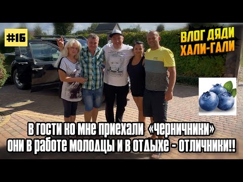 Видео: В гости ко мне приехали «Черничники». Они в работе молодцы и в отдыхе - отличники!!