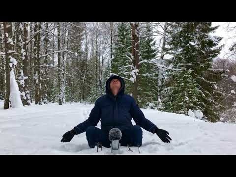 Видео: Асмр зима без слов, звуки хруста снега