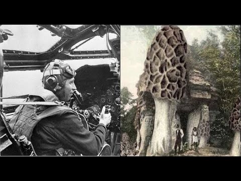 Видео: Летчики на Урале попали в другой мир. 1958 год