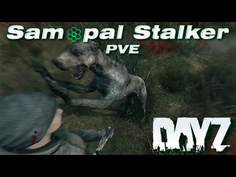 Видео: DAYZ PVE | ПРОЕКТ SAMOPAL STALKER: ДНЕВНИК ВЫЖИВШЕГО, ЧАСТЬ 1
