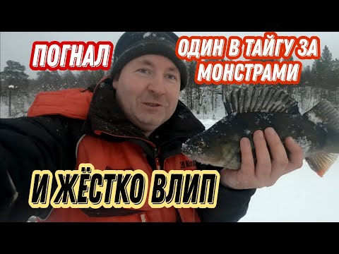 Видео: На БУКСИРОВЩИКЕ один в ТАЙГУ с НОЧЁВКОЙ. ВЛИП по ПОЛНОЙ, еле вернулся.