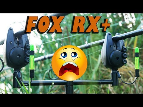 Видео: Сигнализаторы поклевки Fox RX+ за 70К. Это нужно видеть!