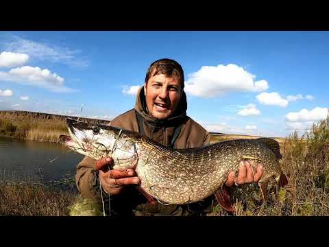 Видео: Эта рыбалка запомниться на всю жизнь. Трофейная щука на виброхвост.