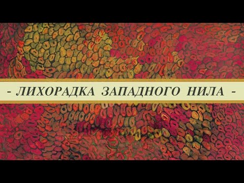 Видео: Лихорадка Западного Нила у птиц. Признаки, передача,  восприимчивость, профилактика,   диагностика.