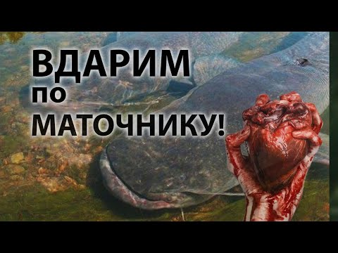 Видео: Неудобные вопросы к рыболовам-любителям