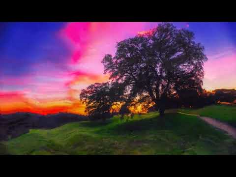 Видео: Роберт Адамс -163. Безмолвие - это высшее учение, озвучивает Nikosho.