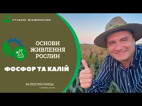 Видео: Фосфор та калій - особливості елементів