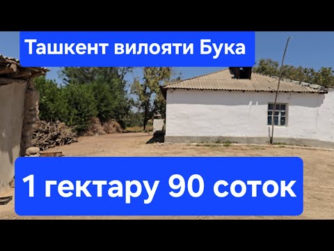 Видео: Бунакаси хар доим чикавермайди