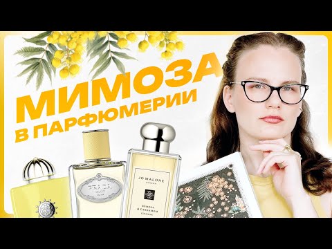 Видео: Парфюмерная нота: МИМОЗА - история, популярность во Франции, топ ароматов и новинка Mimosa Kenzo
