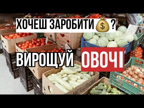 Видео: Чи реально вже в ПЕРШИЙ СЕЗОН заробити 5000$  на овочах?...Чому овочі непоганий старт у вирощуванні