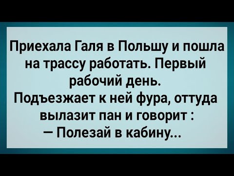 Видео: Как Галя в Польше На Трассе Работала! Сборник Свежих Анекдотов! Юмор!.