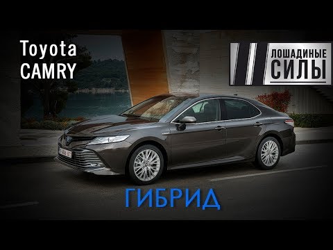 Видео: Гибриды побеждают? Первый тест Toyota Camry Hybrid 2019