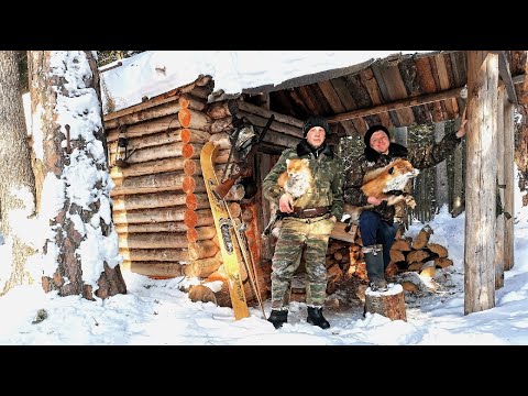 Видео: Таёжный промысел  2021. Эффект  бобровой струи. Проверка путиков.