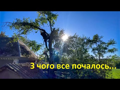 Видео: Арбористика - початок | 10 дерев за день |