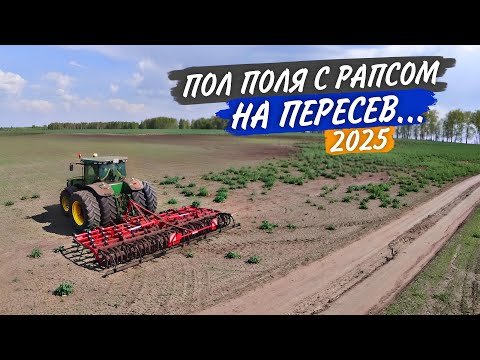 Видео: Мой John Deere "сошел с ума" - разучился ехать прямо. Культивация 25 гектар умершего рапса.