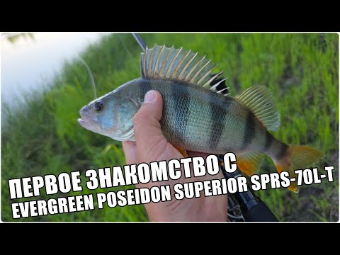 Видео: Знакомство с Evergreen Poseidon Superior SPRS-70L-T